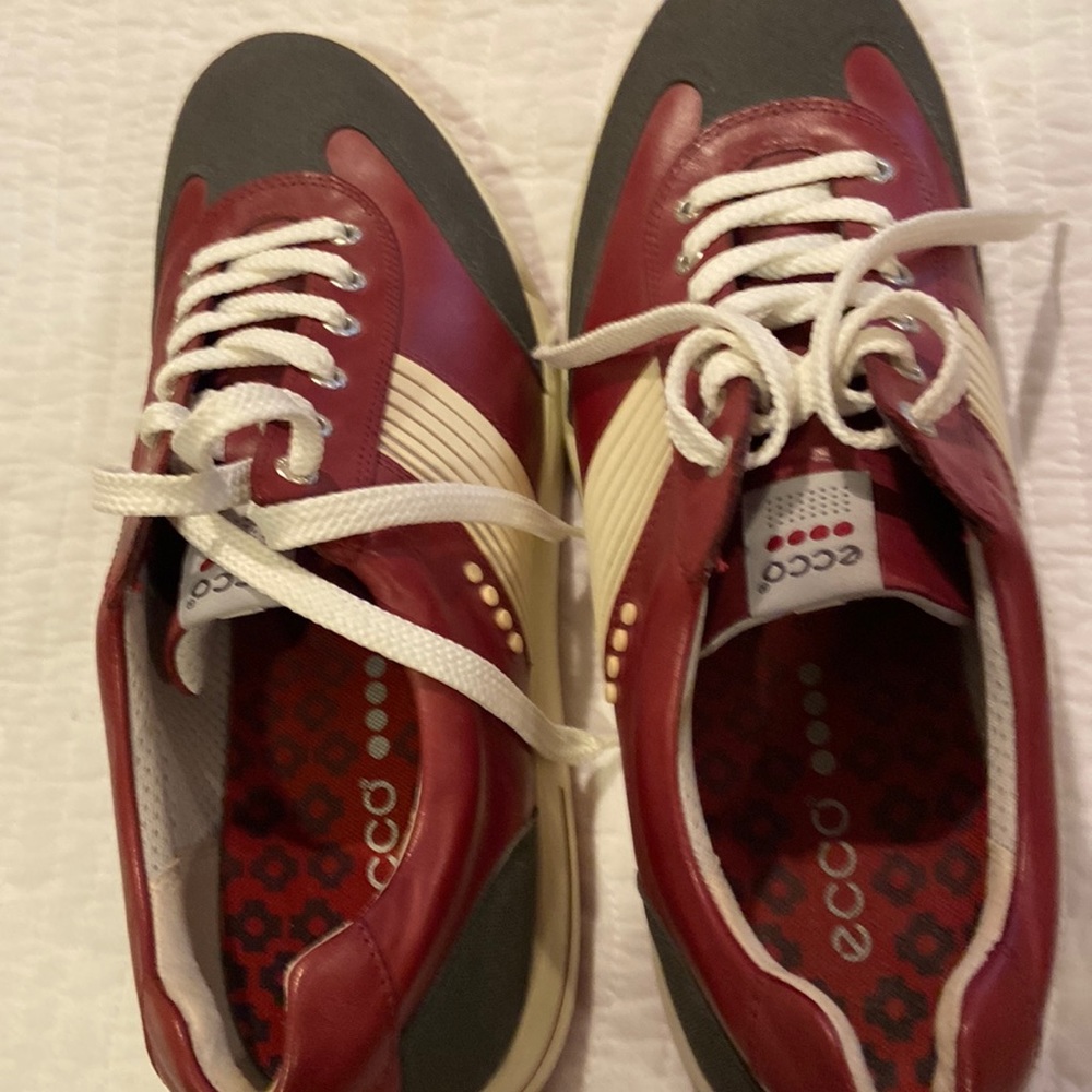 Brand new,never worn Ecco men’s golf shoes size 12